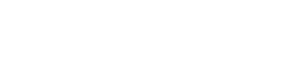 Lakshmikumaran and Sridharan logo